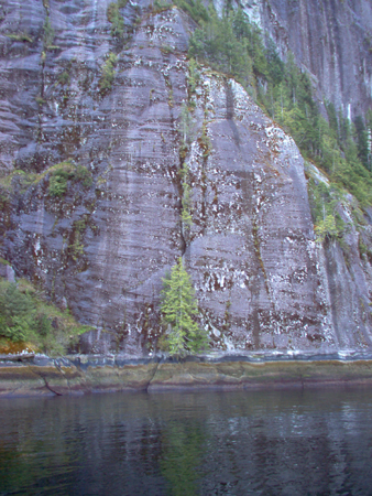 Notice the horizontal glacial scarring on the cliff face.