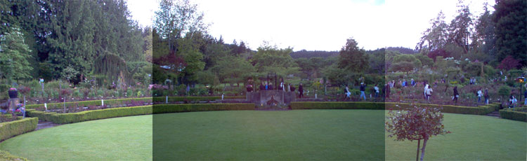Panoramic View of the Rose Garden