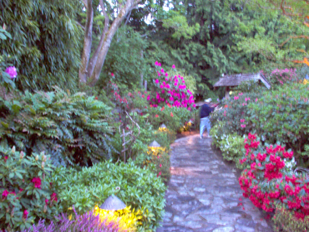 Path in the Japanese Garden