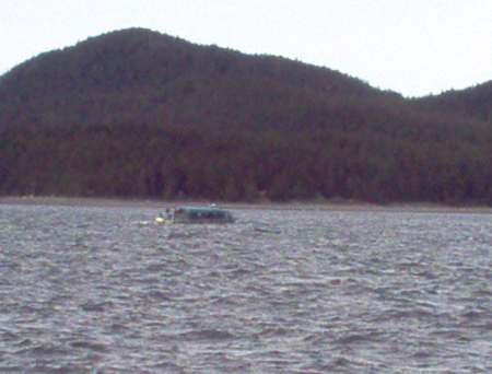 Humpback Whale near a sight seeing boat