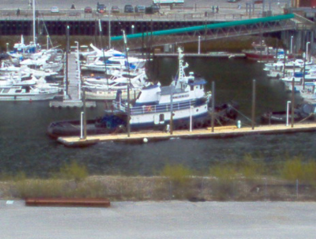 Tug Boat in the Harbor