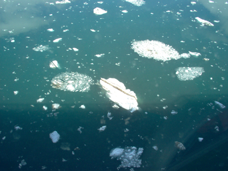 Ice in the Johns Hopkins Inlet