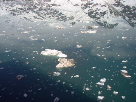 Lots of ice in the Johns Hopkins Inlet