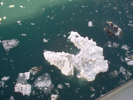 The ice made a dull thudding sound as it struck the hull