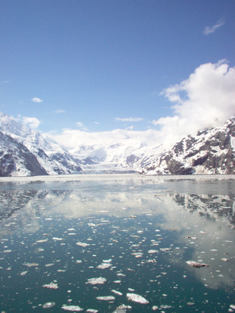 The Johns Hopkins Glacier