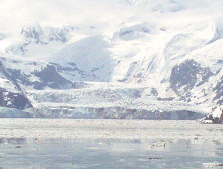 Zoomed in on the Johns Hopkins Glacier