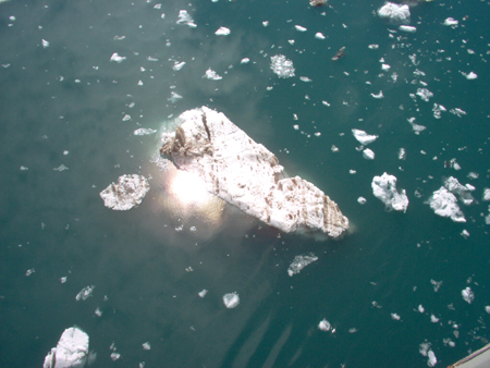 Ice in the Johns Hopkins Inlet