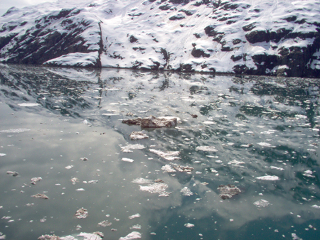 Lots of ice in the Johns Hopkins Inlet