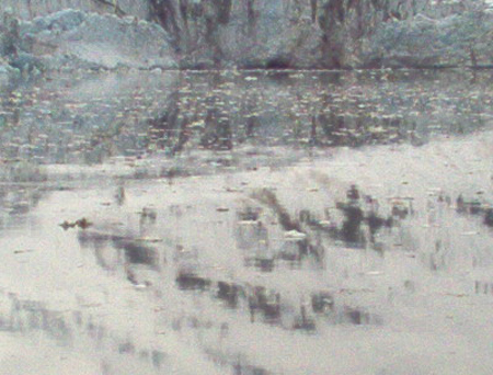 Ice at the toe of the Lamplugh Glacier