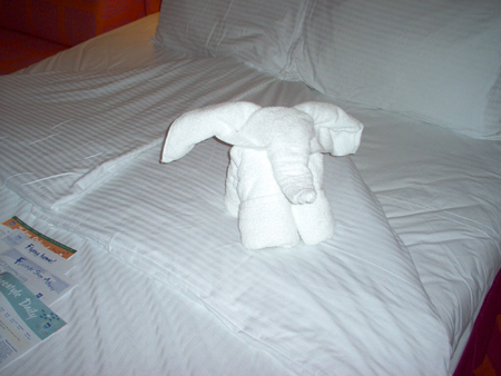 Gladys, our housekeeper, has created a towel elephant for us.