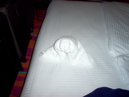 For our last night aboard, Gladys the housekeeper, made a seal out of a towel.